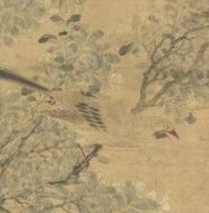 Huaniao: bird-and-flower painting
